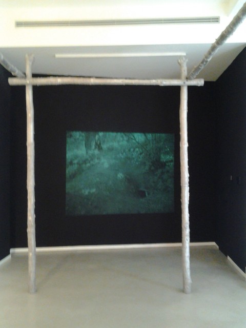 Alain Huck - Tabou - veduta della mostra presso la Galleria Marie-Laure Fleisch, Roma 2014