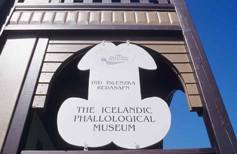 L’Icelandic Phallological Museum, a Reykjavík