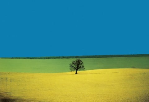 Franco Fontana, Puglia, 1987 © Franco Fontana