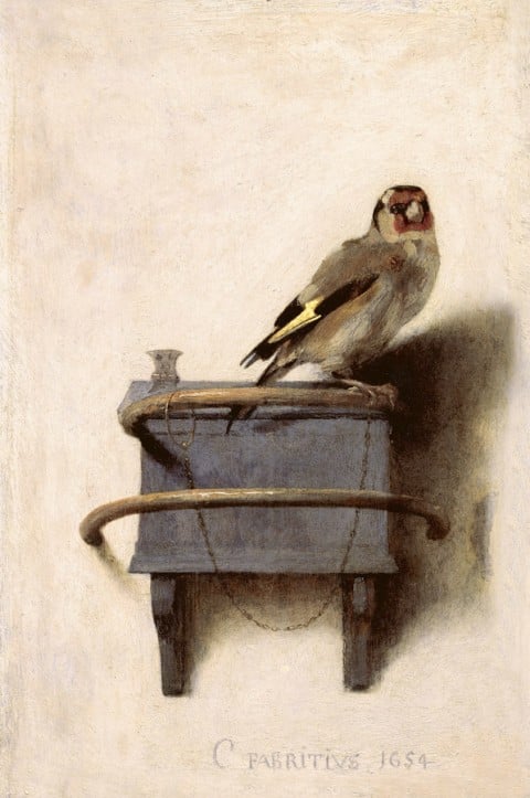 Carel Fabritius, Il cardellino, 1654, © L’Aia, Gabinetto reale di pitture Mauritshuis