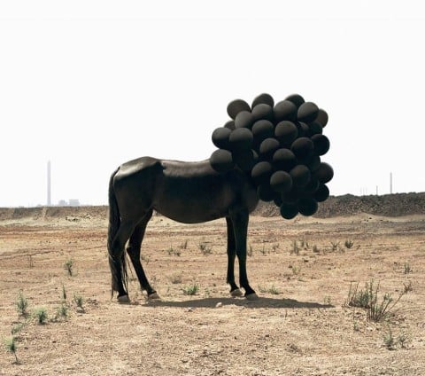 Andrea Galvani