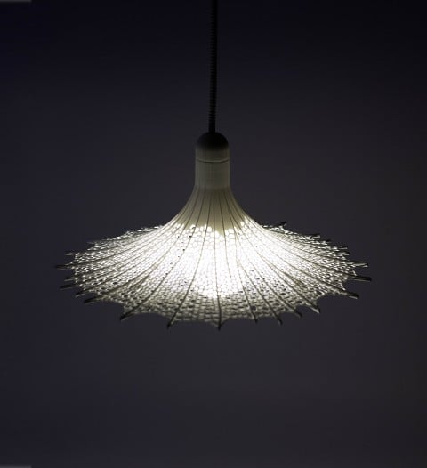 Lanzavecchia + Wai, Biophilia - prod. Exnòvo 