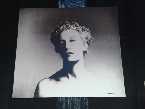 Il mondo di Irene Brin - veduta della mostra presso l'Accademia Costume e Moda, Roma 2014 - Ritratto di Richard Avendon