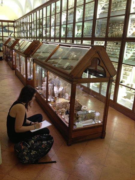 Studenti del Siena Art Institute al Museo dei Fisiocratici