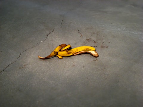 Adriana Lara, Banana Peel, 2008