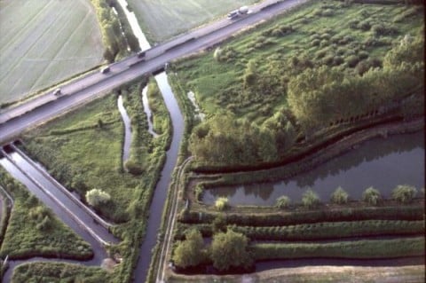 Cesare Colombo, Parco del Ticino, 1983