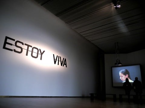 Milano, "La Verdad" di Regina José Galindo al PAC