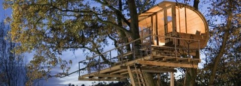 Triumph Treehouse Competition 