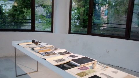 Biennale del Disegno, Rimini 2014 2