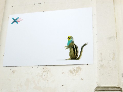 Thomas Grünfeld - Homey - veduta della mostra presso il Museo d'Arte Contemporanea Villa Croce, Genova 2014