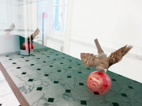 Thomas Grünfeld - Homey - veduta della mostra presso il Museo d'Arte Contemporanea Villa Croce, Genova 2014