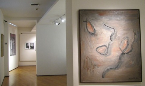 Mafai – Kounellis. La Libertà del pittore - veduta della mostra presso il Museo Carlo Bilotti, Roma 2014