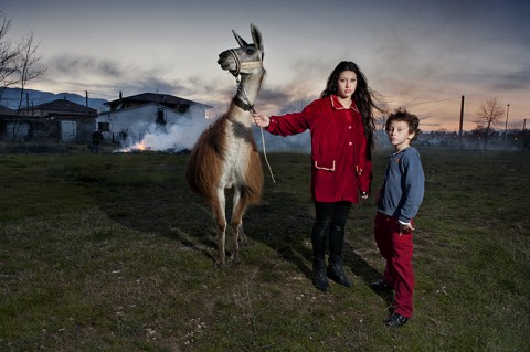 Paola Serino, Megan, the llama and the boy - Henry Niuman Circus