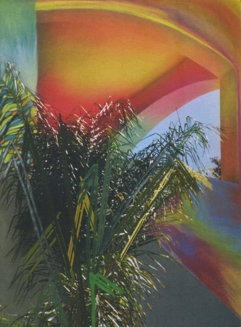 Sam Falls, Paint paper palms, 2011