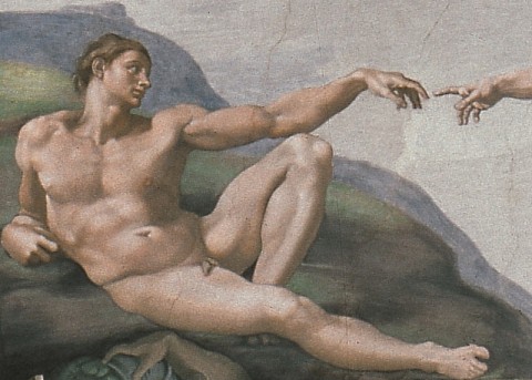 Michelangelo Buonarroti, Adamo (particolare dalla Volta della Sistina), 1508-1512 © Musei Vaticani