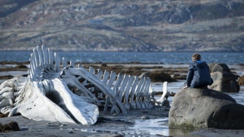 "Leviathan" di Zvyagintsev