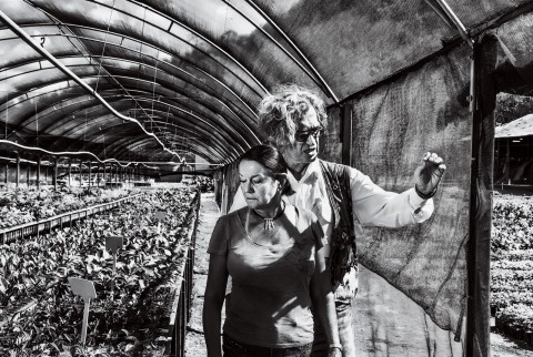 Wim Wenders al lavoro per il film "Il sale della terra" - foto Sebastião Salgado
