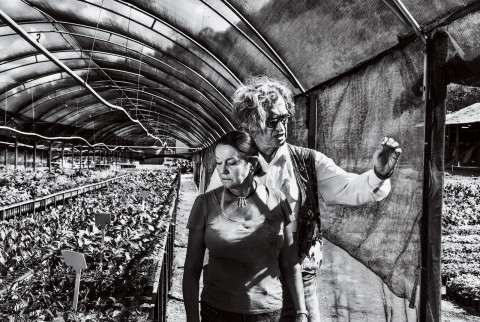 Wim Wenders al lavoro per il film Il sale della terra - foto Sebastião Salgado