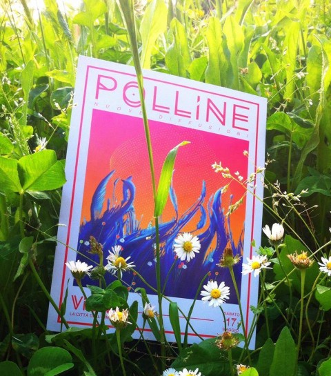 Polline