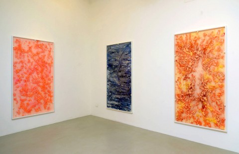 Alfredo Pirri , veduta della mostra allestita presso Giacomo Guidi Arte Contemporanea, maggio 2014, Milano