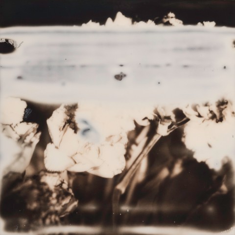 Numinous - Istanbul'74, Istanbul 2014 - Margherita Chiarva 