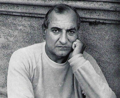 Goffredo Parise, Venezia 1982