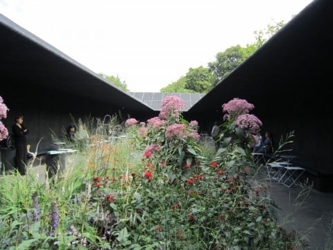 Serpentine Pavilion 2011, by Peter Zumthor, Piet Oudolf (courtesy Green Island)