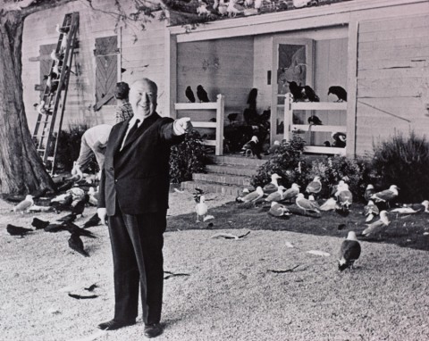 Alfred Hitchcock sul set de “Gli Uccelli” (1963) © 2014 Universal Studios. Tutti i diritti riservati, MONDADORI PORTFOLIO/ALBUM