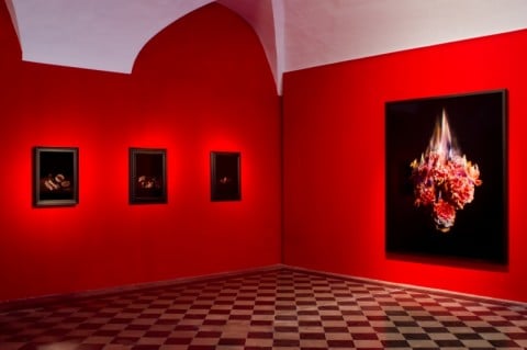 Mat Collishaw, installation view at 1/9 Gallery, Rome