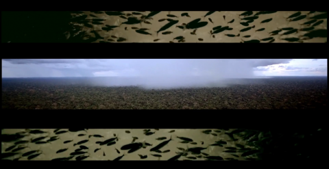 Arash Irandoust, On Being God, Video installation, 2013, video still
