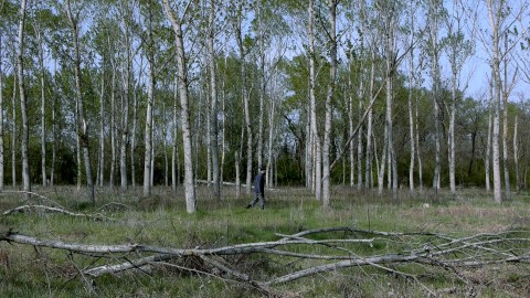 Supranatura, uno still