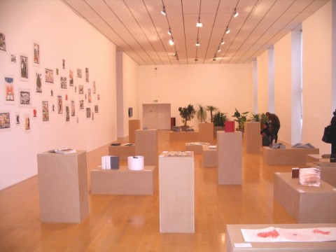 Il Brasile in mostra a Lione: la sezione libri d'artista 
