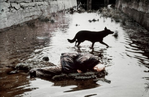 Una celebre scena di Stalker, di Andrej Tarkovskij
