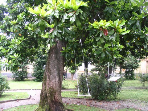 Vittoria Parrinello a Casa Testori