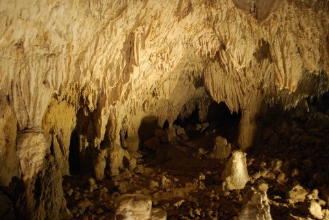 La grotta del Romito a Papasidero