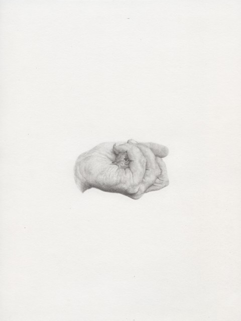 Giovanni De Lazzari Senza Titolo, pencil on paper, 37,5 x 33 cm, courtesy the artist and Laveornica arte contemporanea