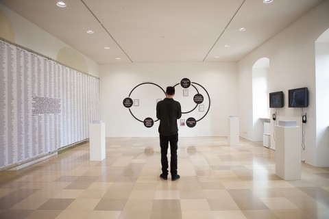 Ars Electronica 2014 - Paolo Cirio, Loophole