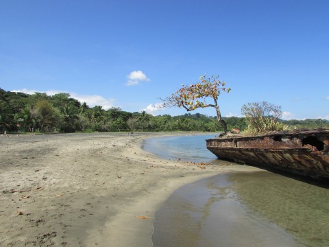 Playa Negra. La spiaggia dei Caraibi di Costa Rica in cui vive Alfredo Ingegno