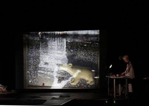Joan Jonas -Reanimation, Documenta 13 2012. Foto Maria Rahling 