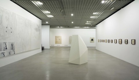 La mostra di Sarmento a Torino - photo Robino