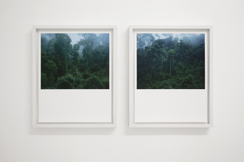 Alessandro Dandini de Sylva in mostra. Courtesy Operativa Arte Contemporanea