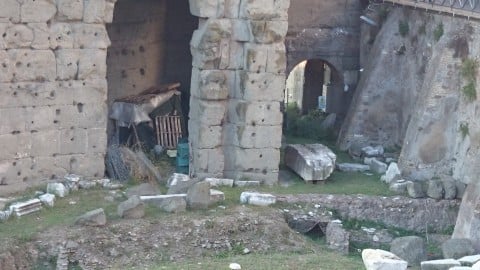 La baracca nel cuore dei Fori Imperiali a Roma