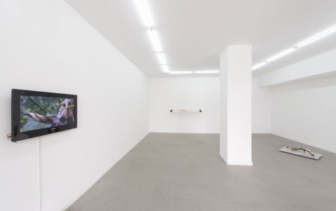 Luana Perilli - Solitary Shelters, veduta dell’installazione presso The Gallery Apart, Roma, foto di Giorgio Benni, courtesy The Gallery Apart, Roma