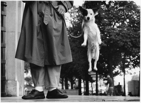 Elliott Erwitt, Francia. Parigi. 1989 - © Elliott Erwitt/Magnum Photos/Contrasto