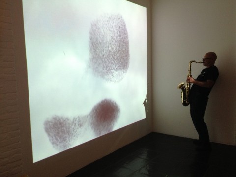 Barbara Salvucci, disegni, 2011, frame del video, 10'40'', DVD, ed. di 5, courtesy dell'artista e Galleria Paola Verrengia, Salerno