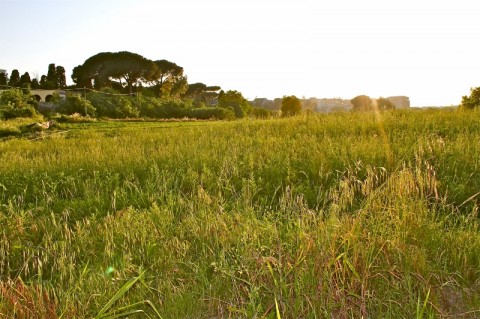 Borgo Piccolomini 