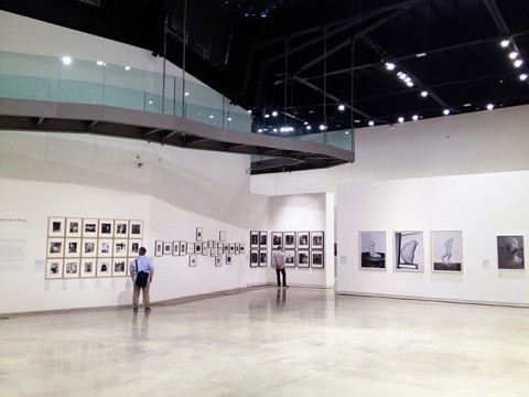 Festival Internazionale della Fotografia di Roma - Portrait - veduta dell'allestimento -Roma 2014