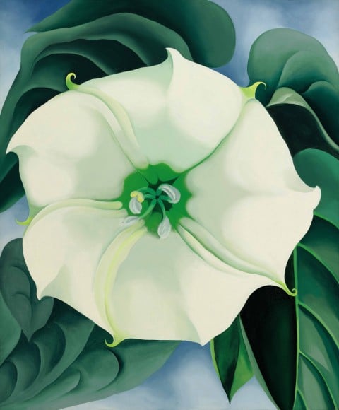 Georgia O’Keeffe, Jimson Weed, White Flower No 1