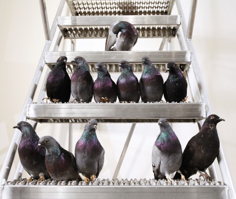 Maurizio Cattelan - Turisti