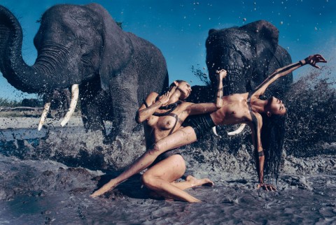 Peter Beard, Abu CampJack Camp, Botswana 2009 © The Cal - Collezione Pirelli